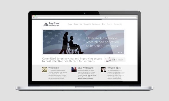 Bay Pines Foundation, Inc. website